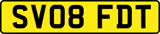 SV08FDT