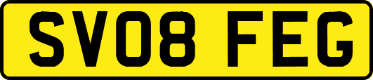 SV08FEG