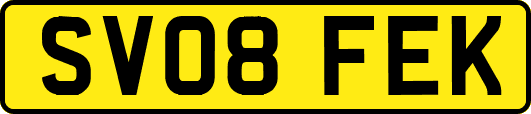 SV08FEK