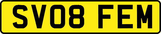 SV08FEM
