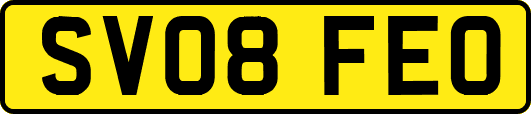 SV08FEO