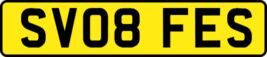 SV08FES