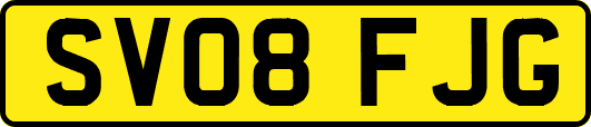 SV08FJG