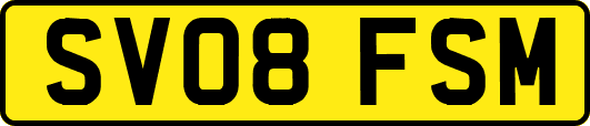 SV08FSM