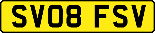 SV08FSV