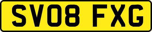 SV08FXG