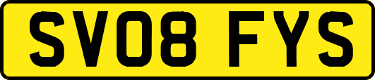 SV08FYS