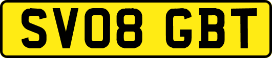 SV08GBT