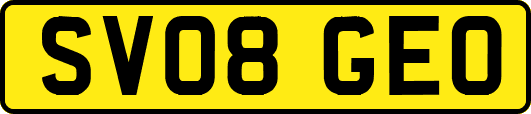 SV08GEO