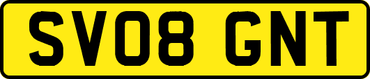 SV08GNT