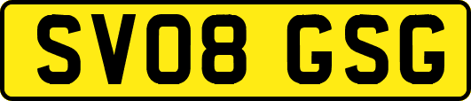 SV08GSG