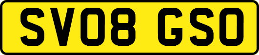SV08GSO