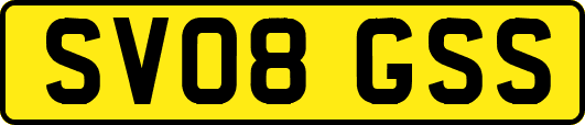SV08GSS