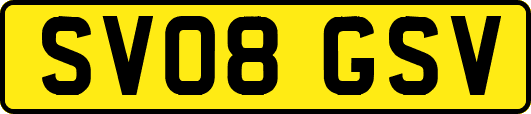 SV08GSV