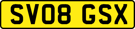SV08GSX