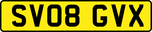 SV08GVX