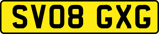 SV08GXG