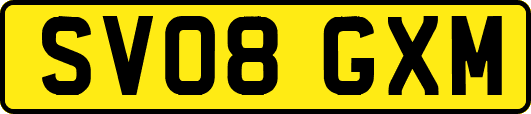 SV08GXM