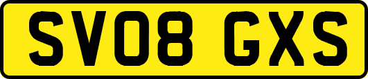 SV08GXS