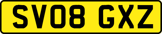 SV08GXZ