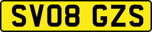 SV08GZS