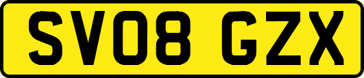 SV08GZX