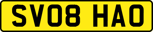 SV08HAO