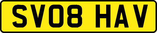 SV08HAV