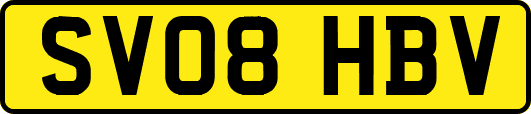 SV08HBV