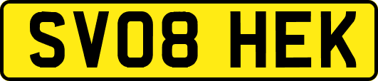 SV08HEK