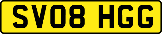 SV08HGG