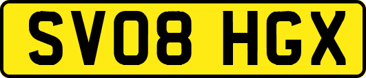 SV08HGX
