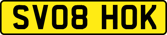 SV08HOK