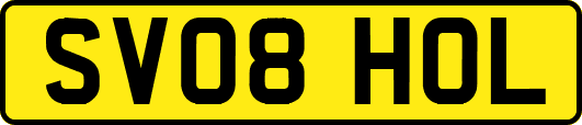 SV08HOL