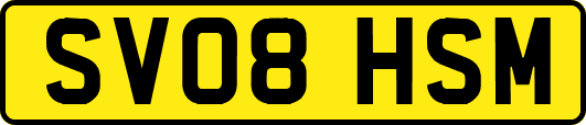 SV08HSM