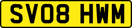 SV08HWM