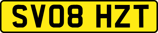 SV08HZT