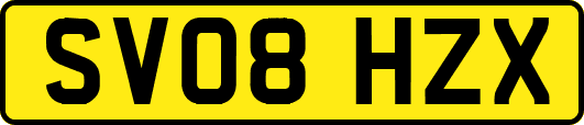 SV08HZX