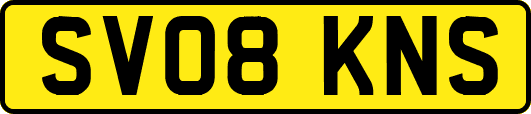 SV08KNS
