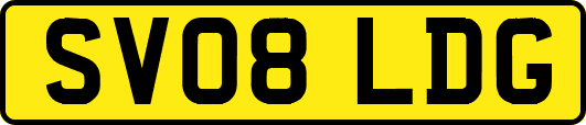 SV08LDG