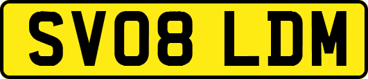 SV08LDM