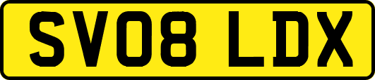 SV08LDX