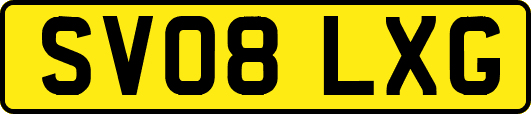 SV08LXG
