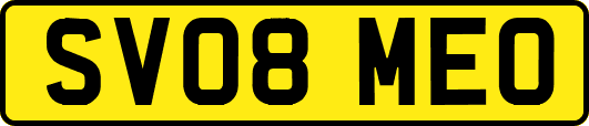SV08MEO