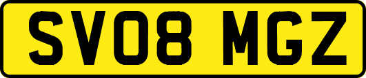 SV08MGZ