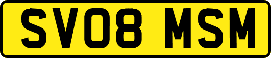 SV08MSM