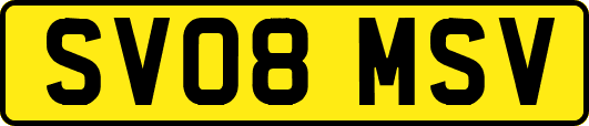 SV08MSV