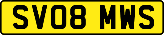 SV08MWS