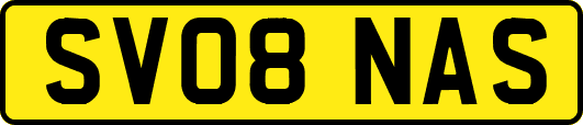 SV08NAS