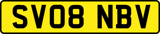 SV08NBV